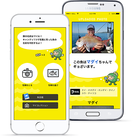 お魚判別アプリ「フィッシュ」イメージ